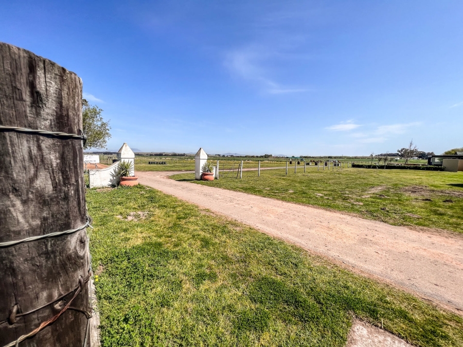 To Let 3 Bedroom Property for Rent in Stellenbosch Farms Western Cape